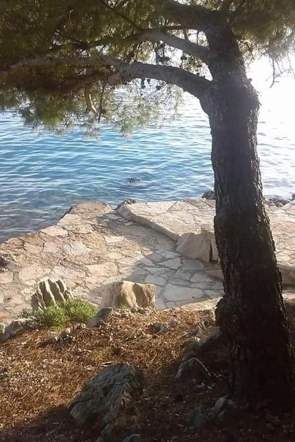 Apartments By The Sea Drage, Biograd - 19189 Pakoštane エクステリア 写真